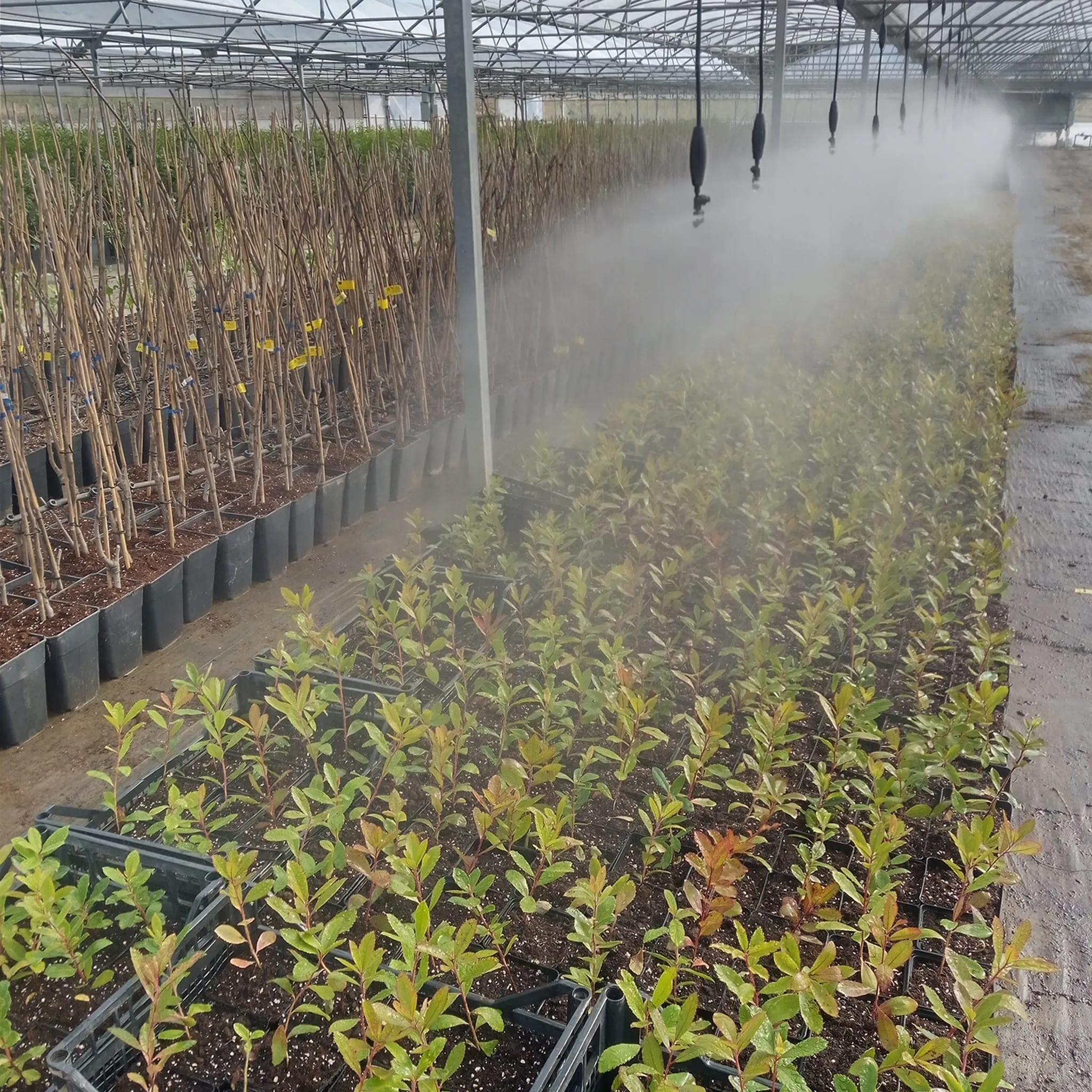 9b8f9260-71bf-47a8-8e67-8ca5bb7ff6c6