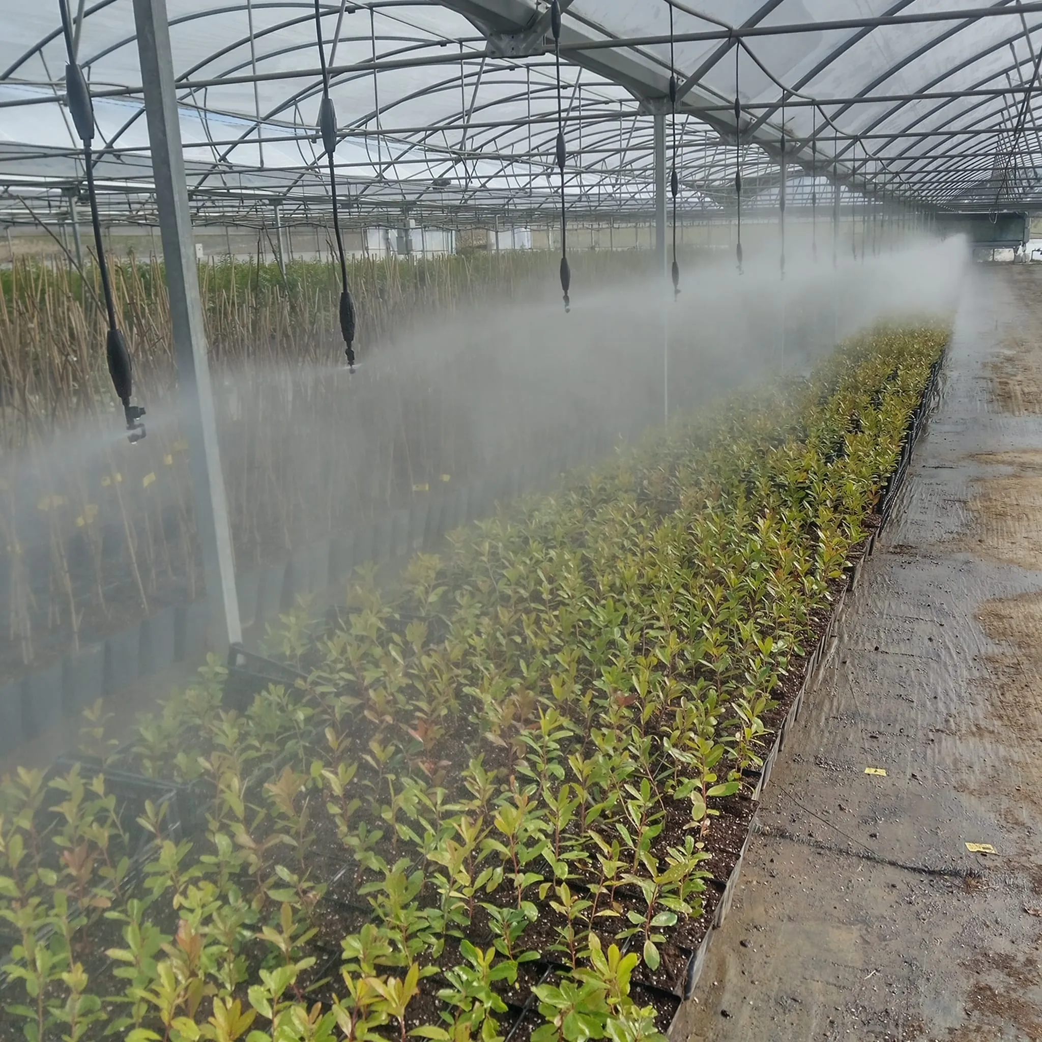 beb51455-f249-4b2c-8e5d-11a1ad4787d3