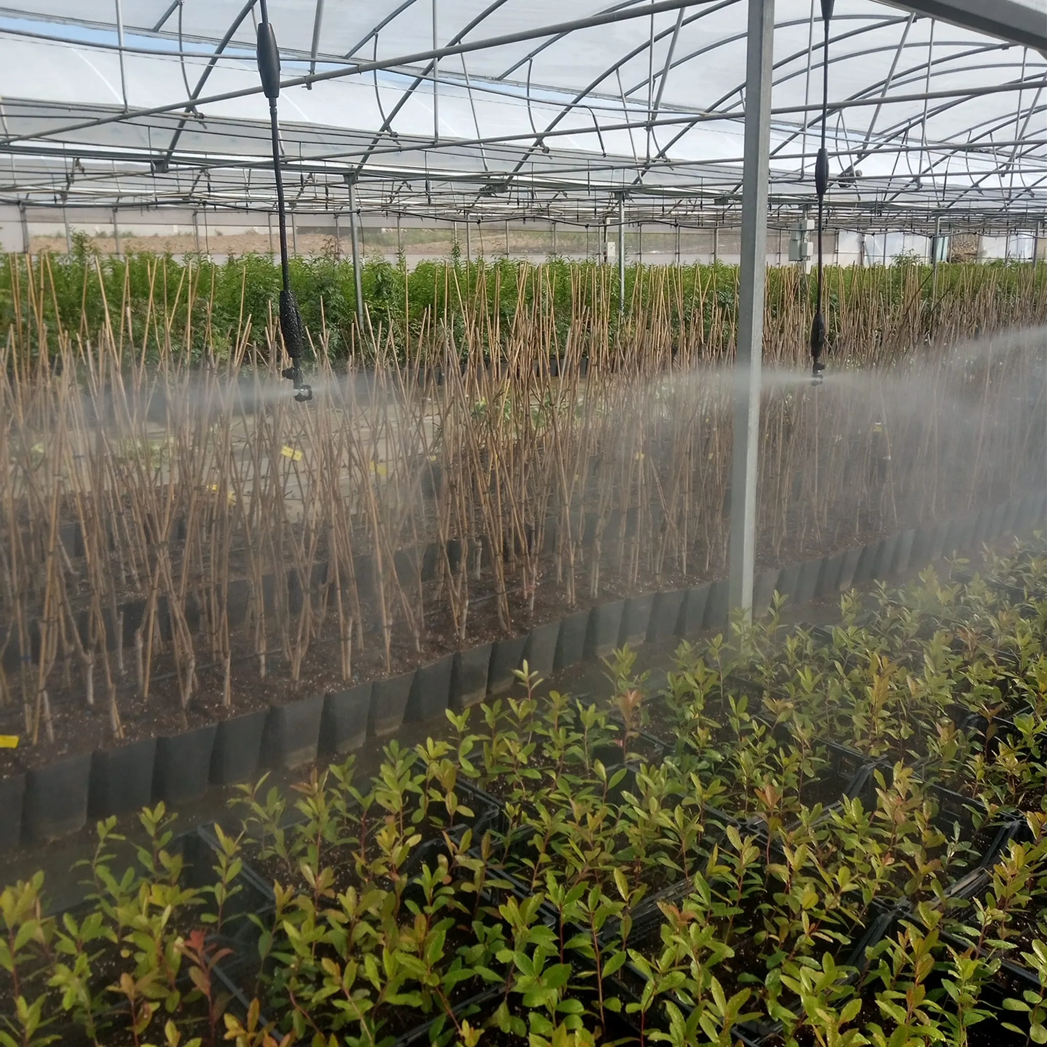 ef6a207f-217e-4ca0-8c89-dcd28ed87c6e